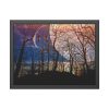 93846-8.jpg Full Moon and Forest Night Darkness Framed Poster