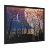 93850-9.jpg Full Moon and Forest Night Darkness Framed Poster
