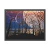 93851-8.jpg Full Moon and Forest Night Darkness Framed Poster