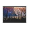 93852-8.jpg Full Moon and Forest Night Darkness Framed Poster