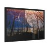 93853-9.jpg Full Moon and Forest Night Darkness Framed Poster