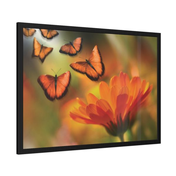 93854-105.jpg Butterfly on Orange Flower Framed Poster
