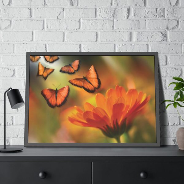 93854-107.jpg Butterfly on Orange Flower Framed Poster