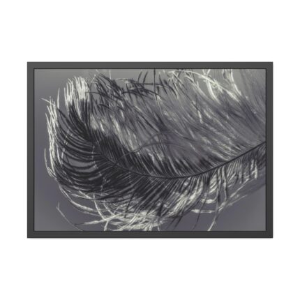 Bird Feather Framed Poster