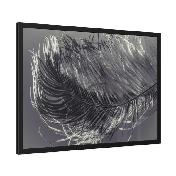 93854-1109.jpg Bird Feather Framed Poster