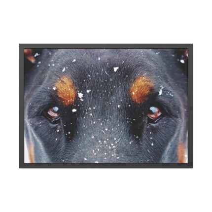 Eyes and Snowflakes Framed Poster