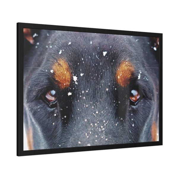 93854-113.jpg Eyes and Snowflakes Framed Poster