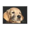 93854-116.jpg Little Golden Retriever Framed Poster