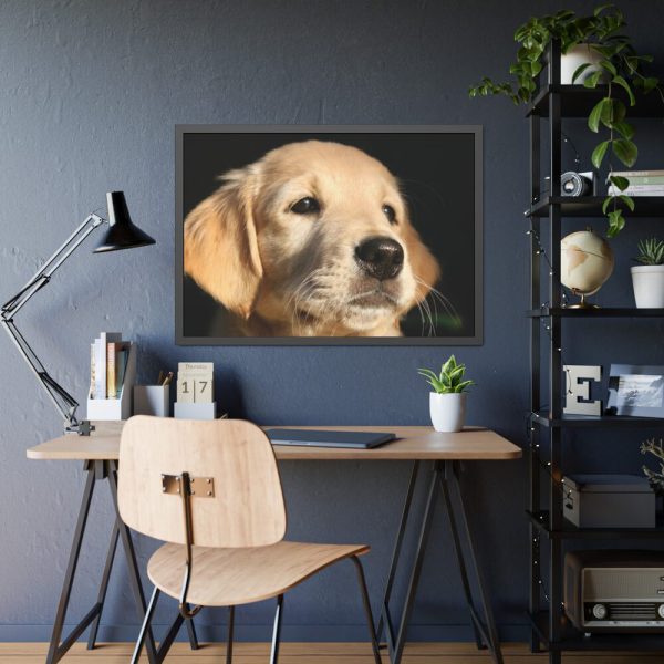 93854-118.jpg Little Golden Retriever Framed Poster