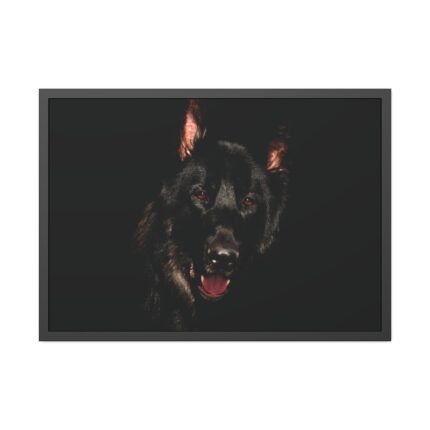 Head of a German Shepherd Framed Poster