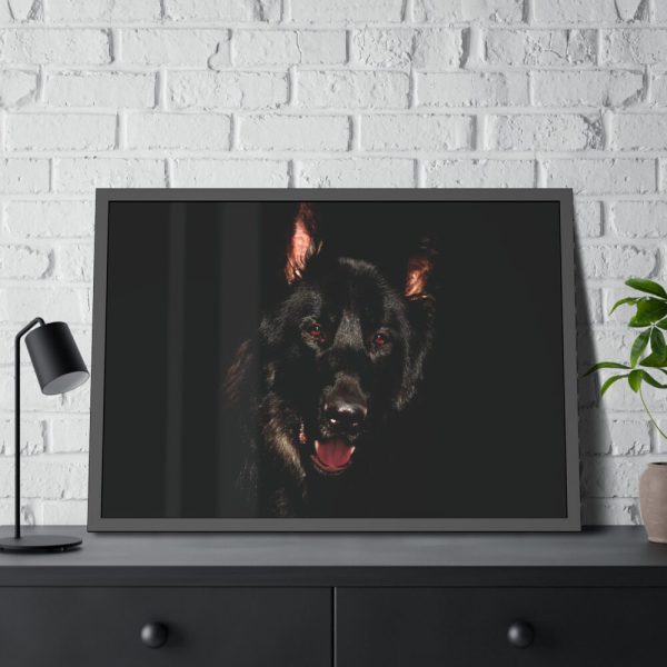 Head of a German Shepherd Framed Poster