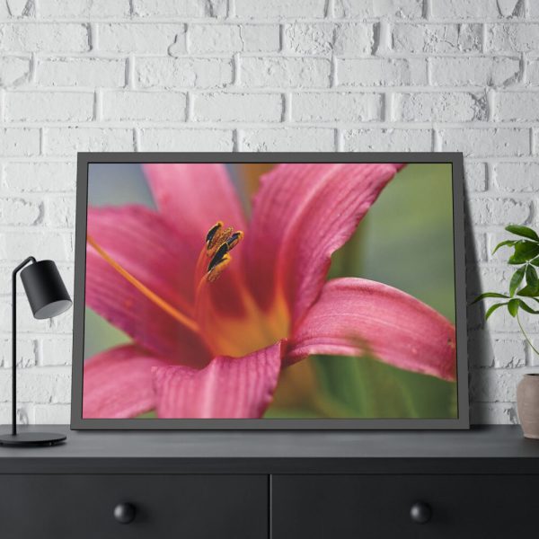 Blooming Flower Pink Framed Poster