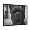 93854-137.jpg French Bulldog Framed Poster