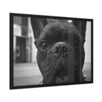 French Bulldog Framed Poster - Image 2