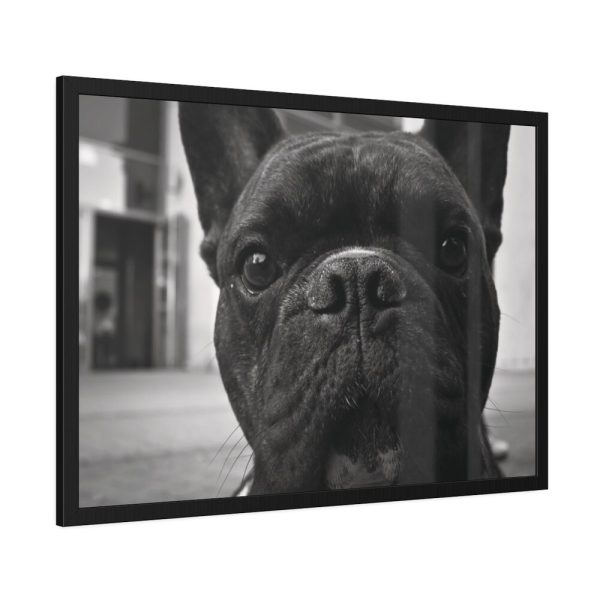 93854-137.jpg French Bulldog Framed Poster
