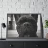 93854-139.jpg French Bulldog Framed Poster
