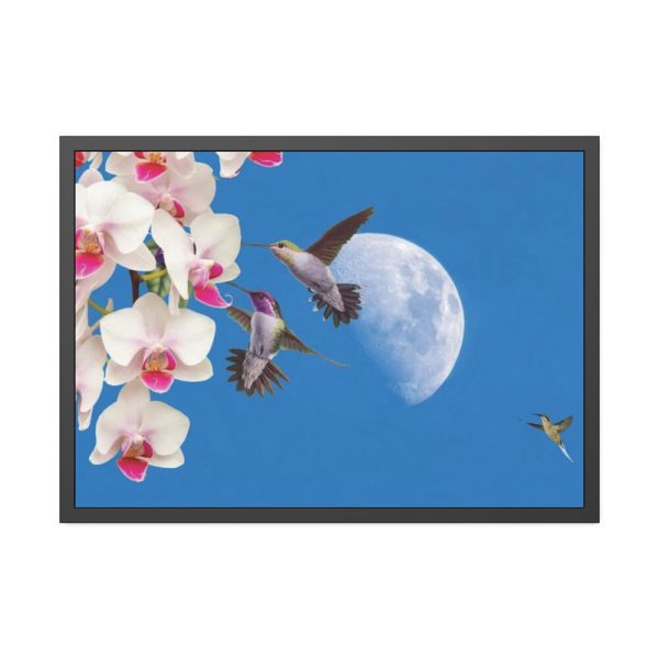 Humming Birds Framed Poster