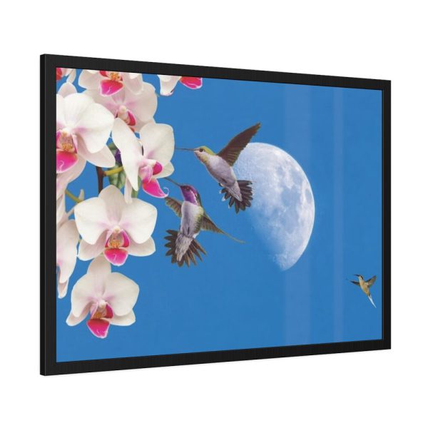 Humming Birds Framed Poster