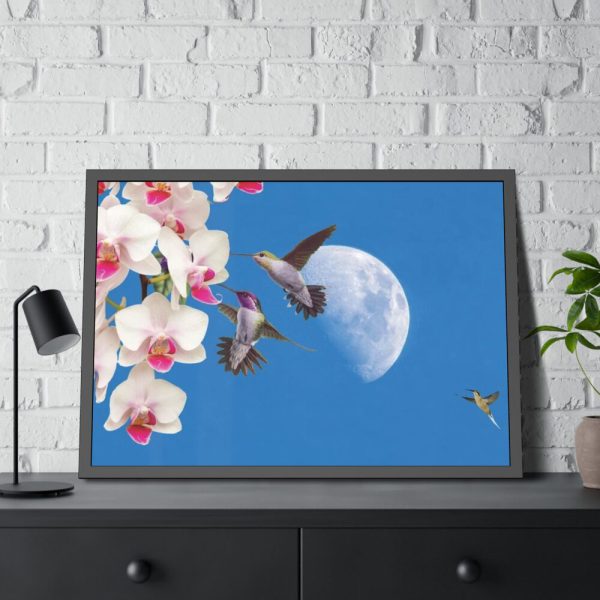 Humming Birds Framed Poster