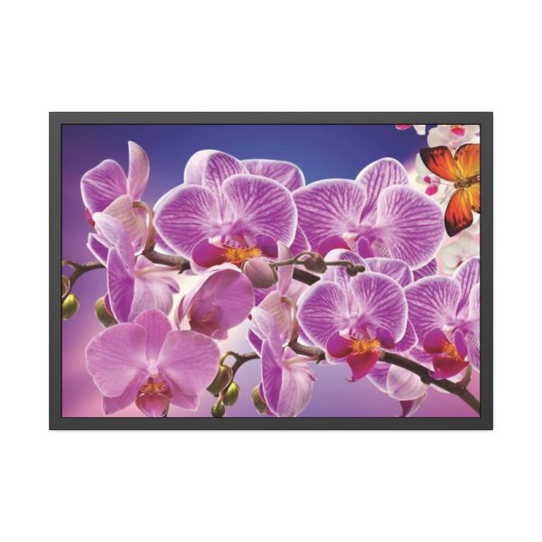 Orchids Flowers Framed Poster