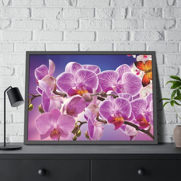 Orchids Flowers Framed Poster