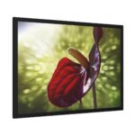 Red Lily Framed Poster - Image 2