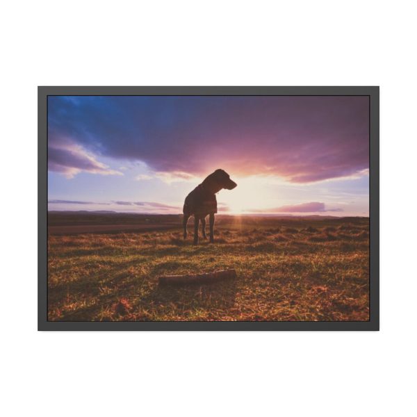 Free Dog at Sunset Framed Poster