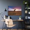 Free Dog at Sunset Framed Poster