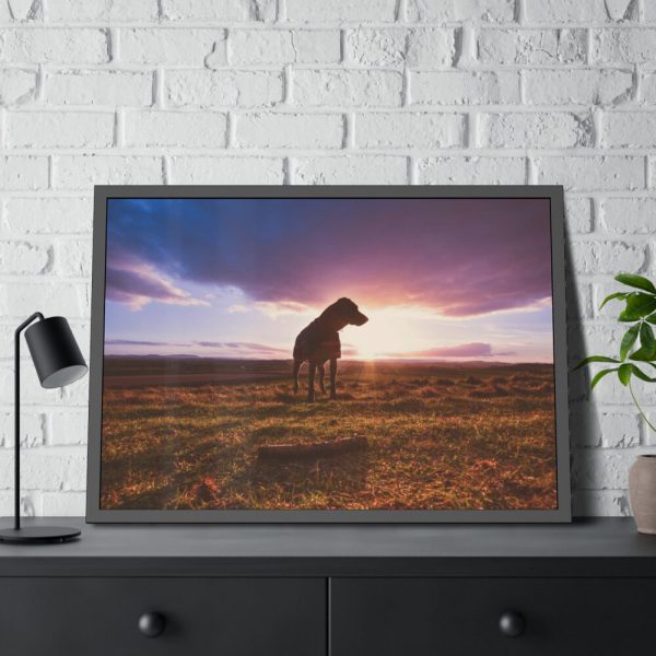 Free Dog at Sunset Framed Poster