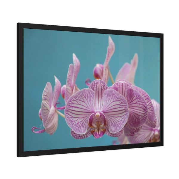 Purple Orchid  Framed Poster