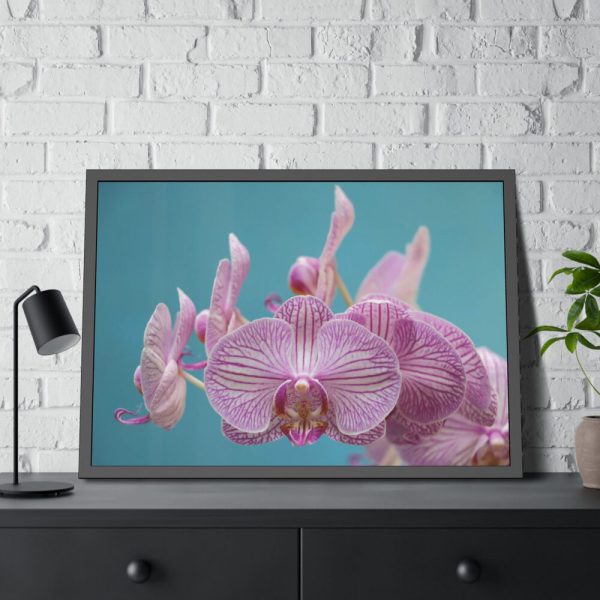 Purple Orchid  Framed Poster
