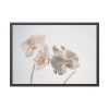 Beautiful White Orchid Framed Poster