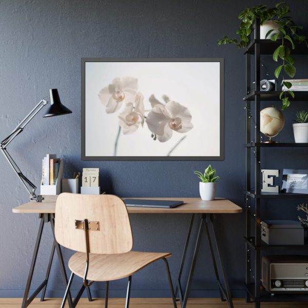Beautiful White Orchid Framed Poster