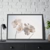Beautiful White Orchid Framed Poster