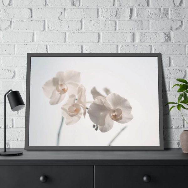 Beautiful White Orchid Framed Poster