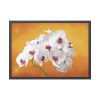 93854-192.jpg Orchid Plant Flower Framed Poster