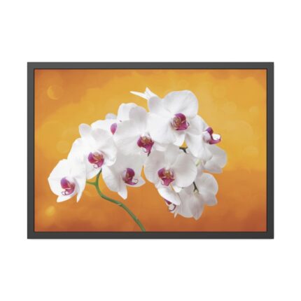 Orchid Plant Flower  Framed Poster