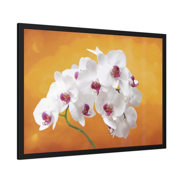 93854-193.jpg Orchid Plant Flower Framed Poster