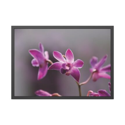 Macro Flower Plant Framed Poster