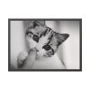 93854-200.jpg Kitten and Finger Framed Poster