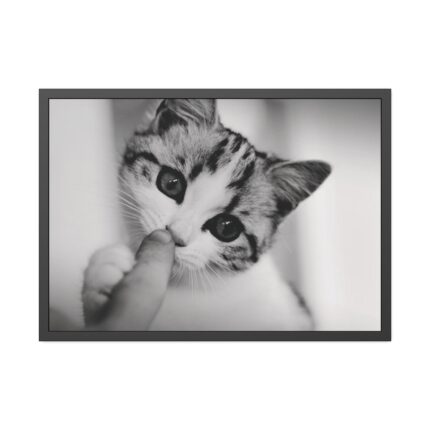 Kitten and Finger Framed Poster