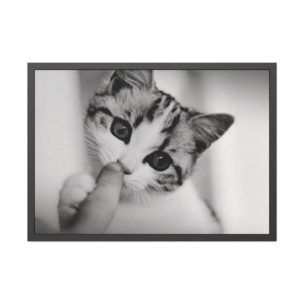 93854-200.jpg Kitten and Finger Framed Poster