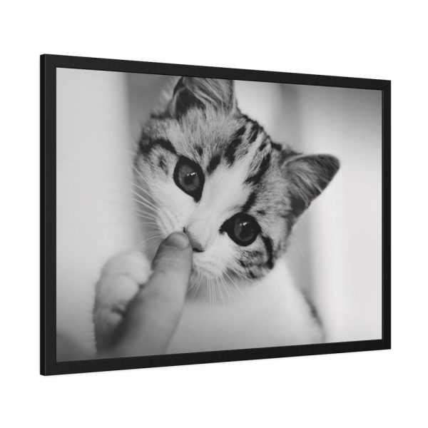 93854-201.jpg Kitten and Finger Framed Poster