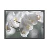 Orchids Elegant Framed Poster