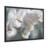 Orchids Elegant Framed Poster