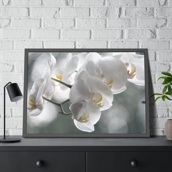 Orchids Elegant Framed Poster