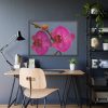 Pink Moth Orchid Framed Poster
