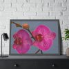 Pink Moth Orchid Framed Poster