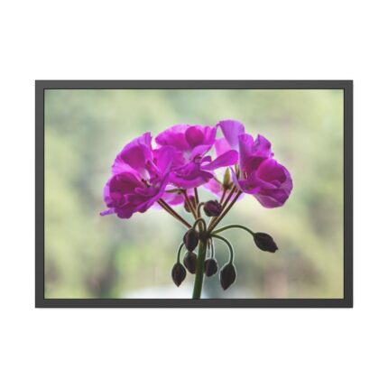 Colorful Flower Framed Poster