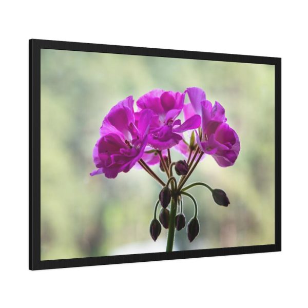 Colorful Flower Framed Poster